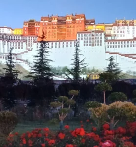 Lhasa Kailash Tour.